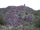 photo thumbnail #2