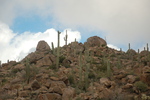 photo thumbnail #8