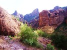 photo thumbnail #12