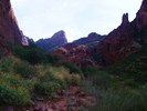 photo thumbnail #13