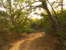 photo thumbnail #5