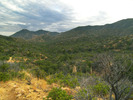 photo thumbnail #10