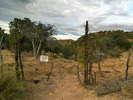 photo thumbnail #11