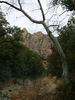 photo thumbnail #15