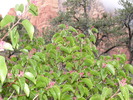 photo thumbnail #15