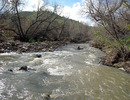 photo thumbnail #7