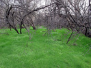 photo thumbnail #9