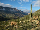 photo thumbnail #13