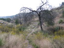 photo thumbnail #1