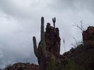 photo thumbnail #15