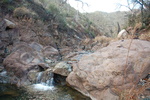 photo thumbnail #8
