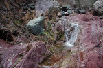 photo thumbnail #13
