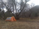 photo thumbnail #3