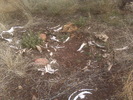 photo thumbnail #5