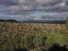 photo thumbnail #8
