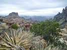 photo thumbnail #5