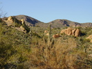 photo thumbnail #3