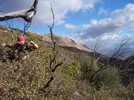 photo thumbnail #5