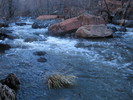 photo thumbnail #5