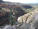 photo thumbnail #1