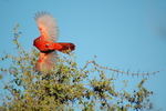 photo thumbnail #3