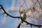 photo thumbnail #7