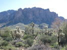 photo thumbnail #2