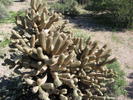 photo thumbnail #4