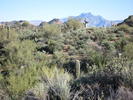 photo thumbnail #1