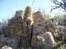 photo thumbnail #2