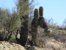 photo thumbnail #10