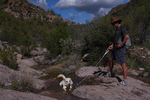 photo thumbnail #5