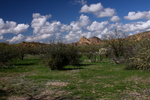 photo thumbnail #8