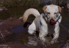 photo thumbnail #11