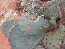 photo thumbnail #8