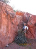 photo thumbnail #5