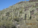 photo thumbnail #14