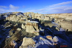 photo thumbnail #10