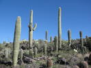 photo thumbnail #9
