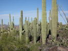 photo thumbnail #10