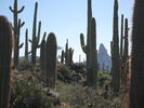 photo thumbnail #12