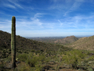 photo thumbnail #7