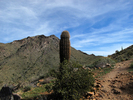 photo thumbnail #11
