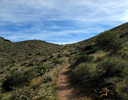photo thumbnail #13