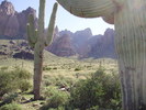 photo thumbnail #3