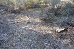 photo thumbnail #2