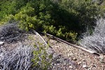 photo thumbnail #3