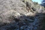 photo thumbnail #10