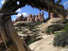 photo thumbnail #1