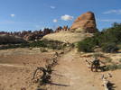 photo thumbnail #3